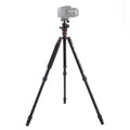 Triopo MT-2504C Adjustable Portable Aluminum Tripod with NB-1S Ball Head for Canon Nikon Sony DSLR Camera, MT-2504C (Black), MT-2504C (Gold) MT-2504C (Black) S-DCA-0410A