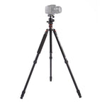 Triopo MT-2504C Adjustable Portable Aluminum Tripod with NB-1S Ball Head for Canon Nikon Sony DSLR Camera, MT-2504C (Black), MT-2504C (Gold) MT-2504C (Black) S-DCA-0410A