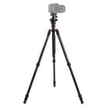 Triopo GT-2504X8.C Adjustable Portable Carbon Fiber Tripod with B-1 Aluminum Ball Head for Canon Nikon Sony DSLR Camera, GT-2504X8.C (Black), GT-2504X8.C (Gold) GT-2504X8.C (Black) S-DCA-0418A