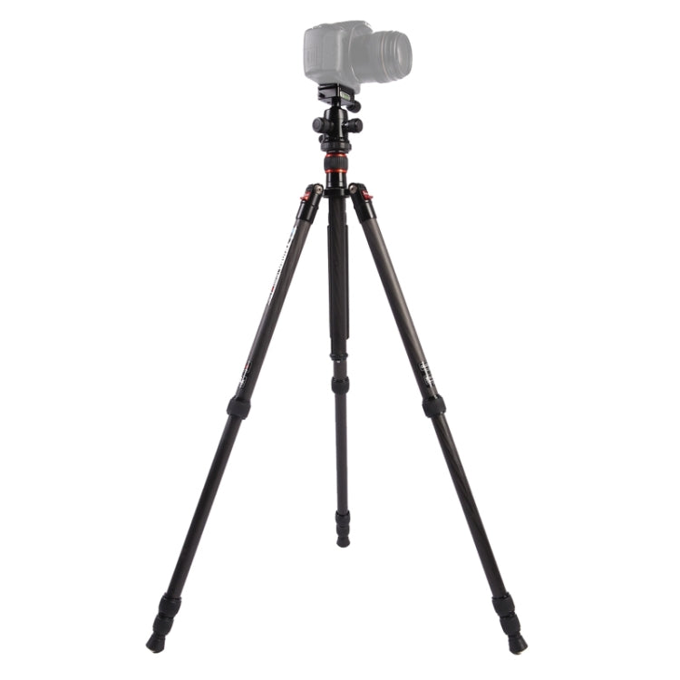 Triopo GT-2504X8.C Adjustable Portable Carbon Fiber Tripod with B-1 Aluminum Ball Head for Canon Nikon Sony DSLR Camera, GT-2504X8.C (Black), GT-2504X8.C (Gold) GT-2504X8.C (Black) S-DCA-0418A