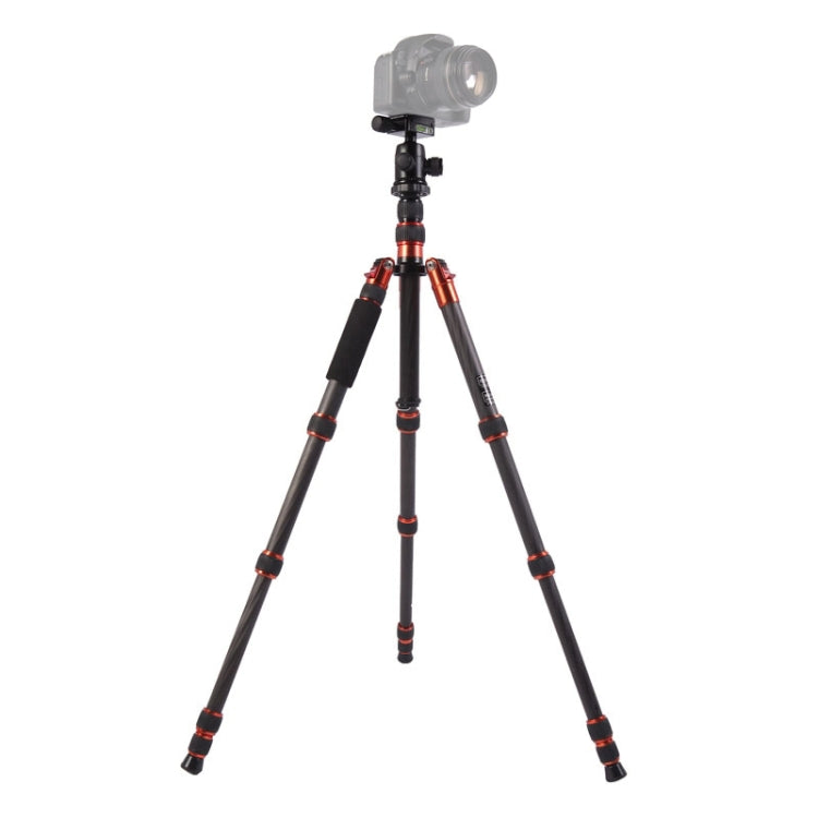 Triopo GT-2505x8.C Adjustable Portable Carbon Fiber Tripod with B-1 Aluminum Ball Head for Canon Nikon Sony DSLR Camera, GT-2505x8.C (Black), GT-2505x8.C (Gold) GT-2505x8.C (Black) S-DCA-0419A