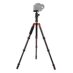 Triopo GT-2505x8.C Adjustable Portable Carbon Fiber Tripod with B-1 Aluminum Ball Head for Canon Nikon Sony DSLR Camera, GT-2505x8.C (Black), GT-2505x8.C (Gold) GT-2505x8.C (Black) S-DCA-0419A