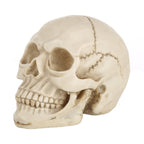 Skull Head Hallowmas Prop Gadget Display, Size: 19(L) x 13(W) x 14cm(H), Skull Head – Durable Build, Easy to Use Skull Head