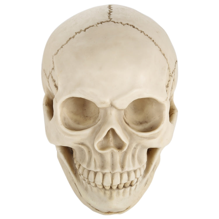 Skull Head Hallowmas Prop Gadget Display, Size: 19(L) x 13(W) x 14cm(H), Skull Head – Durable Build, Easy to Use