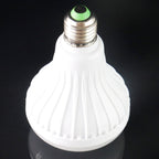 Bluetooth, Support WiFi Phone Control, Adjustable Light, with Remote Control