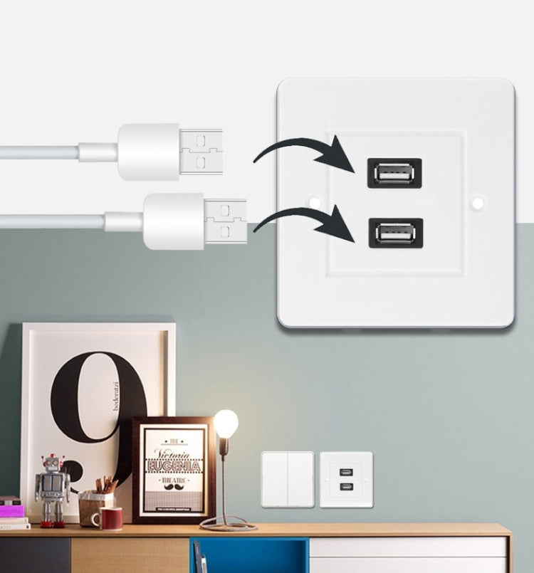 Dual USB 2.0 Female Plugs Home Wall Charger Plate Wall Plate Panel, 2 Ports USB 2.0 2 Ports USB 2.0