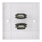 Dual USB 2.0 Female Plugs Home Wall Charger Plate Wall Plate Panel, 2 Ports USB 2.0