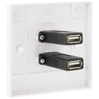 Dual USB 2.0 Female Plugs Home Wall Charger Plate Wall Plate Panel, 2 Ports USB 2.0