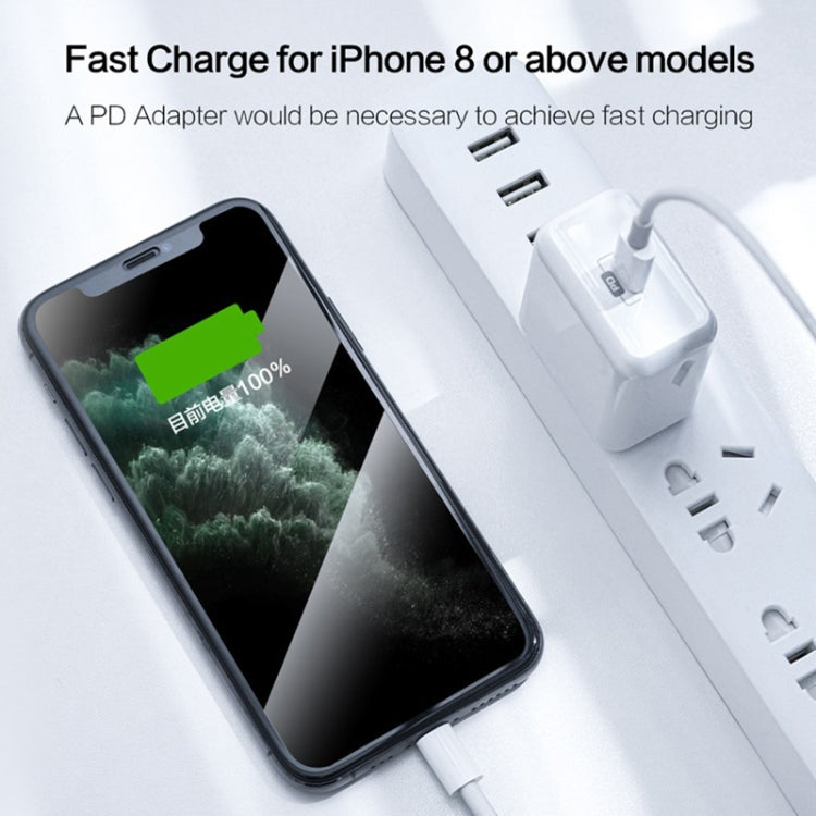 USB-C Data Cable – / Type-C 3.1 Male to 8 Pin Male Data Cable, Cable Length: 1m