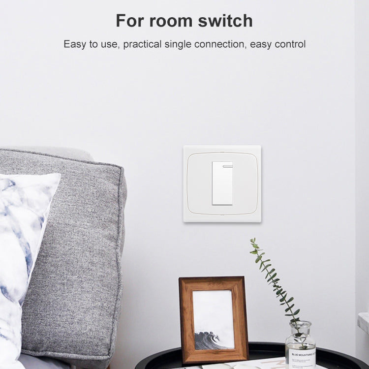 Wall Plate with Screw for Blank Inserts - 1 Hole, Use around the world
