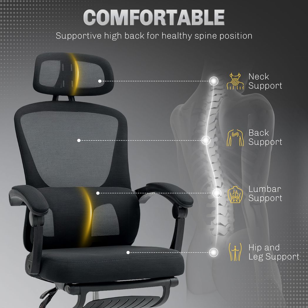 Mesh Ergonomic Office Chair with Lumbar Support, Headrest