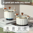 Enamel Stew Pot with Double Handles | Gas & Induction | 2 Colours