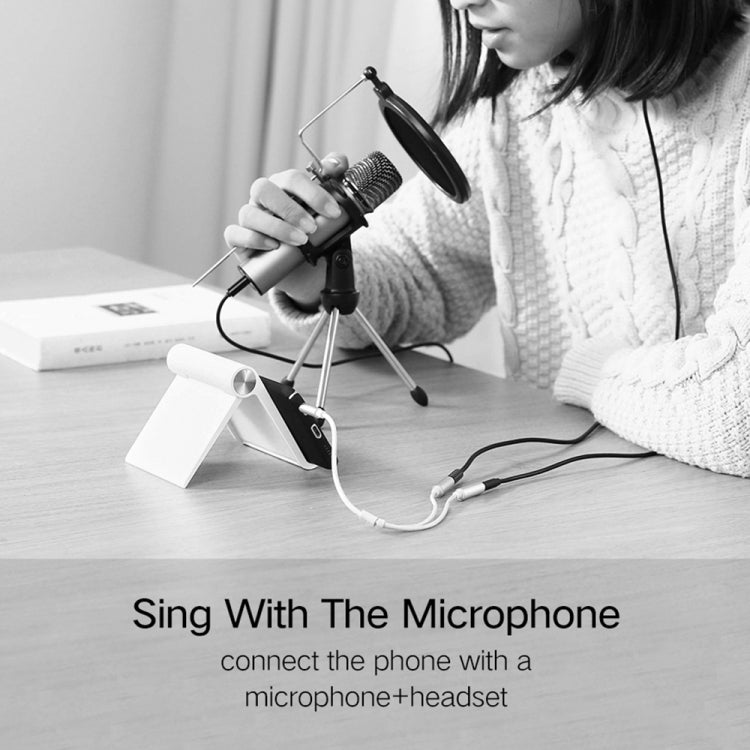 HY191 2 in 1 3.5mm Male to Microphone + Audio Female Braided Audio Cable, Length: 26cm, HY191 – Durable Build, Easy to Use