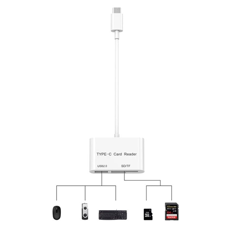 USB-C to USB SD/Micro SD Card Reader – Durable Build, Easy to Use