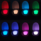 YouOKLight Motion Activated Toilet Nightlight, LED Toilet Light Bathroom Washroom