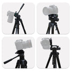 L-3600 Live Tripod with Three-Dimensional Damping Gimbal Detachable Quick Release Plate Height Adjustment 62-170cm for SLR Camera Live Light Projector ( Black), L-3600