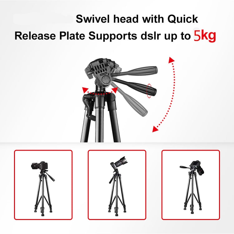 L-3600 Live Tripod with Three-Dimensional Damping Gimbal Detachable Quick Release Plate Height Adjustment 62-170cm for SLR Camera Live Light Projector ( Black), L-3600