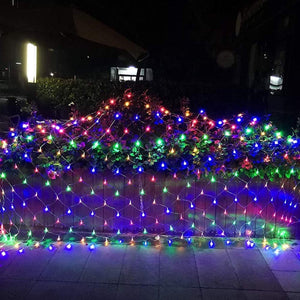 Colorful Light
