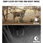 PR700 1080P Wildlife Hunting Camera Motion Activated Night Vision Camcorder for Outdoor Tracking Scan Trigger, PR700