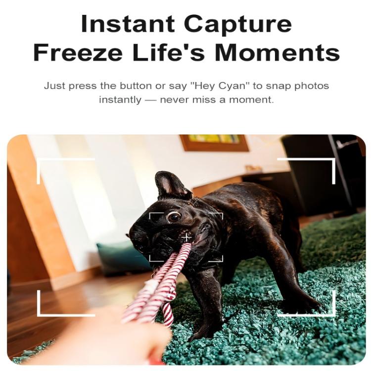 A2 8MP HD Smart Camera Glasses, Support AI Translation / AI Assistant / Bluetooth Calling, A2