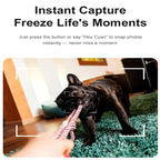 A2 8MP HD Smart Camera Glasses, Support AI Translation / AI Assistant / Bluetooth Calling, A2