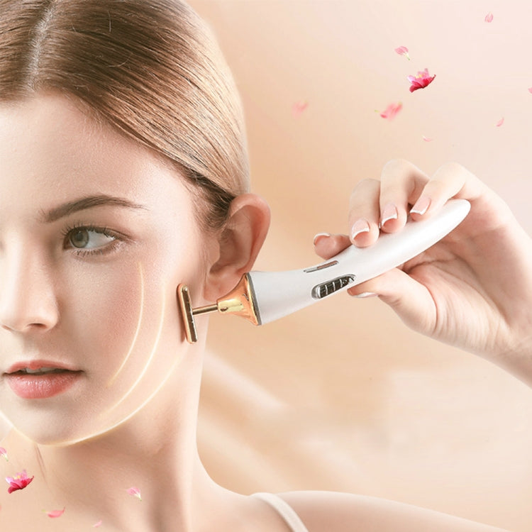 K-SKIN KD9060 Electric Facial Massager Skin Care Lifting Firming Portable Essence Absorption Default Title