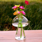 Mushroom Shaped Glass Vase Terrarium Bottle Container Flower Home Table Decoration Default Title
