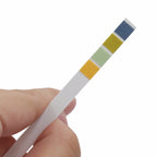 100 Strips/box pH Test Strips 0-14 Scale Premium Litmus Tester Paper Ideal for Test pH Level of Water, 100 Strips