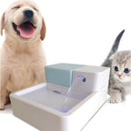 Pet aAutomatic Water Dispenser Cat Teddy Dog General Circulation Dog Feeder, UK