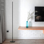 Minimalist Creative Bedroom Living Room Personality Atmosphere Light LED Floor Lamp, Warm Light, White Light, Stepless Dimming
