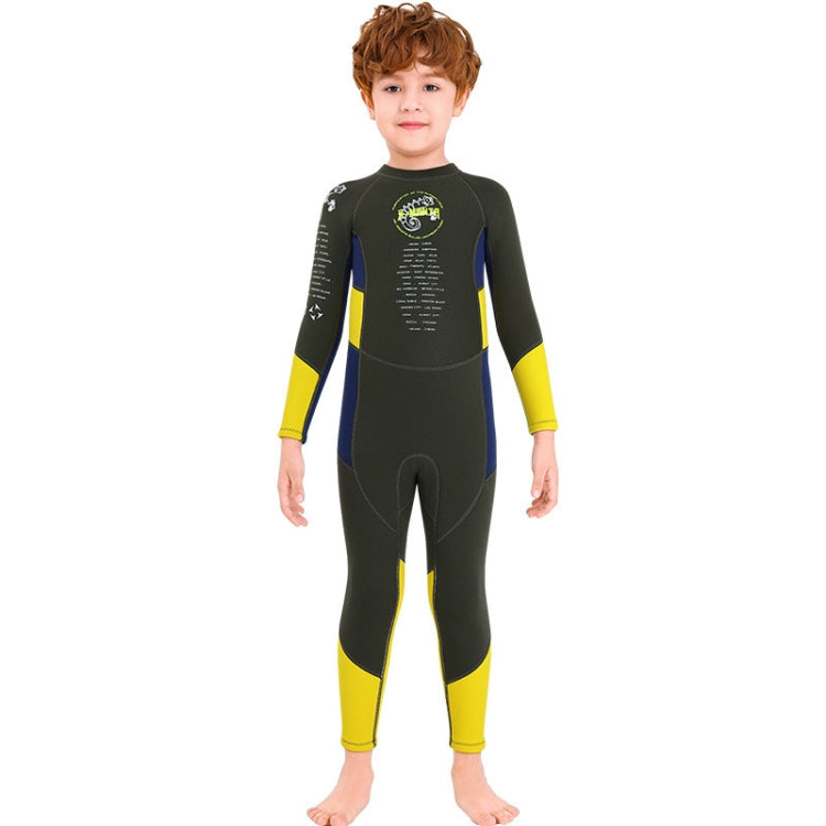 DIVE & SAIL M150501K Children Warm Swimsuit 2.5mm One-piece Wetsuit Long-sleeved Cold-proof Snorkeling Surfing Anti-jellyfish Suit, S, M, L, XL, XXL S Gray