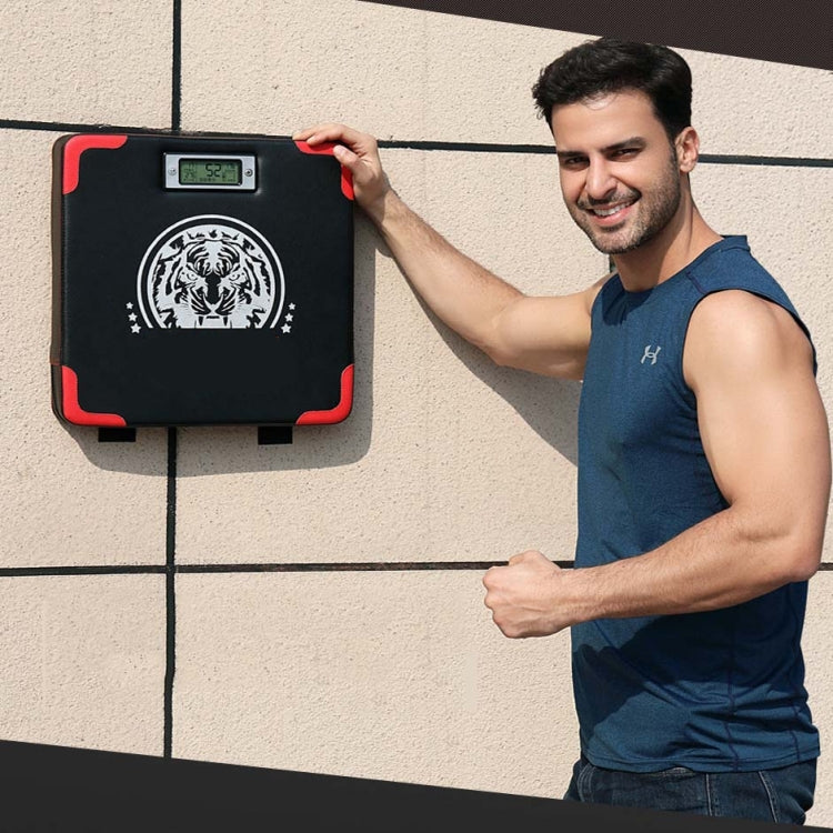 KEZHAN KZ-01 Boxing Strength Tester Force Measuring Device Boxing Training Sandbag Smart Wall Target, Wall Target Wall Target