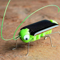 Children Baby Solar Power Energy Insect Grasshopper Cricket Kids Toy Gift, Grasshopper Cricket – Durable Build, Easy to Use Grasshopper Cricket