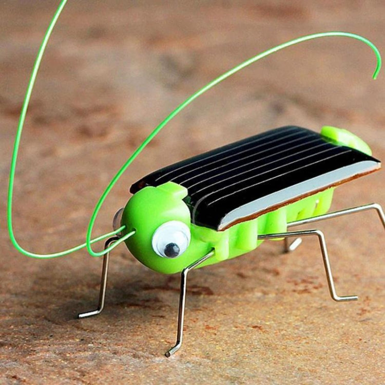 Children Baby Solar Power Energy Insect Grasshopper Cricket Kids Toy Gift, Grasshopper Cricket – Durable Build, Easy to Use Grasshopper Cricket