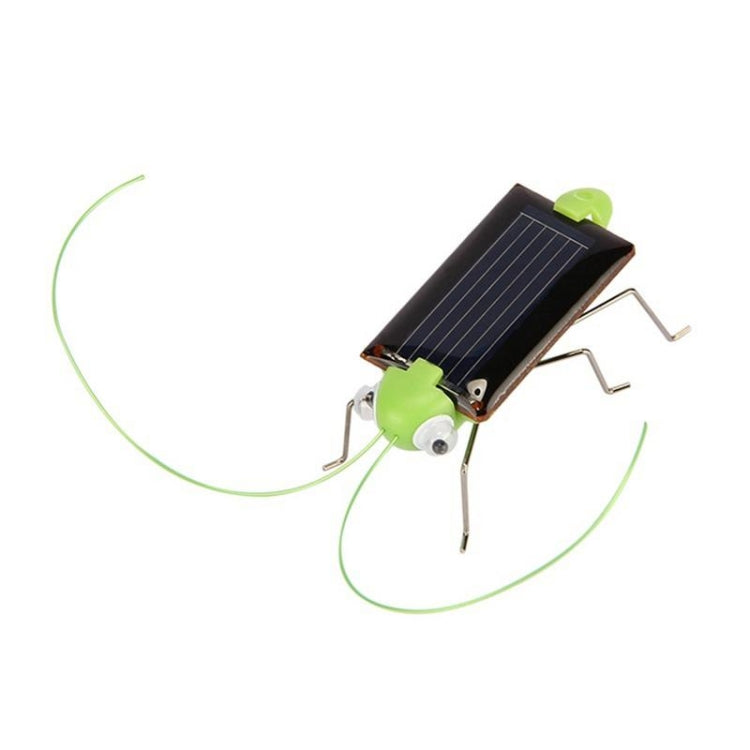 Children Baby Solar Power Energy Insect Grasshopper Cricket Kids Toy Gift, Grasshopper Cricket – Durable Build, Easy to Use