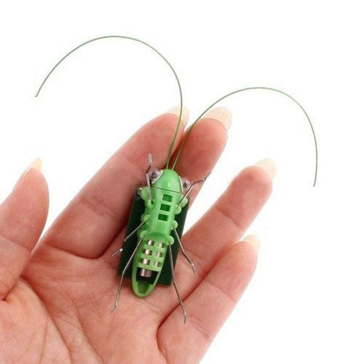 Children Baby Solar Power Energy Insect Grasshopper Cricket Kids Toy Gift, Grasshopper Cricket – Durable Build, Easy to Use