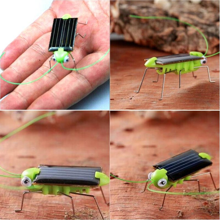 Children Baby Solar Power Energy Insect Grasshopper Cricket Kids Toy Gift, Grasshopper Cricket – Durable Build, Easy to Use