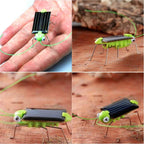 Children Baby Solar Power Energy Insect Grasshopper Cricket Kids Toy Gift, Grasshopper Cricket – Durable Build, Easy to Use