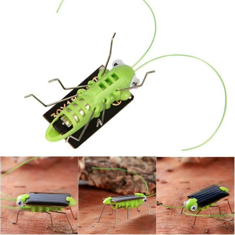 Children Baby Solar Power Energy Insect Grasshopper Cricket Kids Toy Gift, Grasshopper Cricket – Durable Build, Easy to Use