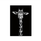 Simple Black and White Animal Decoration Painting Study Living Room Sofa Background Wall Painting Without Frame, 21X30cm