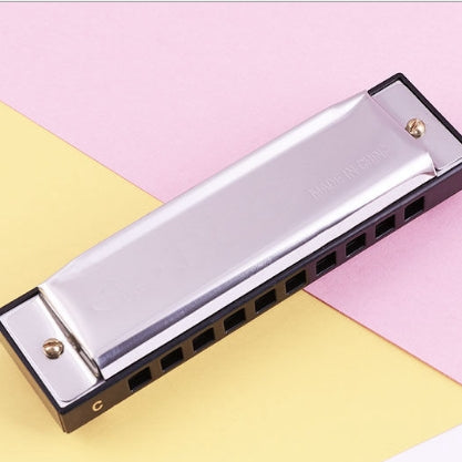 BEE 10-holes Dual-tones C Tone Brace Harmonica, Silver, Blue, Black, Red Silver