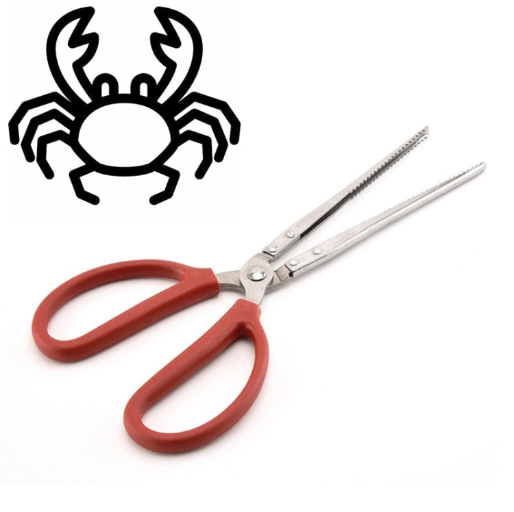 Crab Tongs Loach Tongs Sea Tool, 30cm Straight Clip, 38cm Straight Clip, 38cm Curved Clip, 53cm Ctraight Clip, 53cm Curved Clip – Durable Build, Easy to Use 38cm Straight Clip