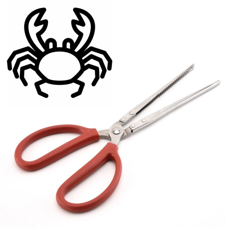 Crab Tongs Loach Tongs Sea Tool, 30cm Straight Clip, 38cm Straight Clip, 38cm Curved Clip, 53cm Ctraight Clip, 53cm Curved Clip – Durable Build, Easy to Use 53cm Ctraight Clip