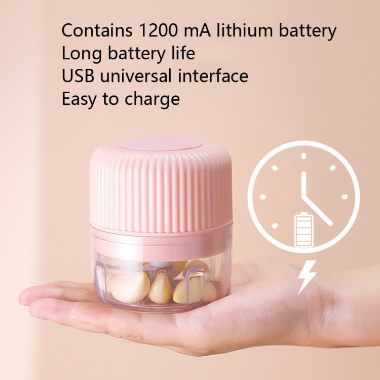 Household Vegetable Cutting Electric USB Garlic Masher Baby Mini Cooking Machine Baby Food Supplement Machine, 250ml, 100ml + 250ml, 100ml