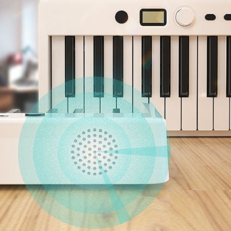 Wersi 88-Key Foldable Portable Electronic Piano Keyboard For Beginners Practice Piano, CN Plug, USB White, USB Black – Bluetooth, Ultra-thin