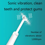 2319-S-51 Household Sonic Scaler Portable Dental Care Tool Dental Cleaning Instrument, White, Blue Black
