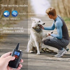 PaiPaitek PD526V-2 1 In 2 100-Speed Sound Vibration Remote Control Training Dog Device Anti-Barking Device Electronic Remote Control Collar, PD526V-2 – Lanyard