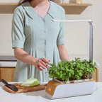 H003 Intelligent Hydroponic Vegetable Planting Machine Full-Spectrum Plant Growth Lamp Soil-Cultivation Vegetable Flower Pot – Durable Build, Easy to Use
