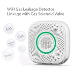 TY-GSA-87 Smart Home WIFI Gas Detector, EU Plug, US Plug, UK Plug – TPU