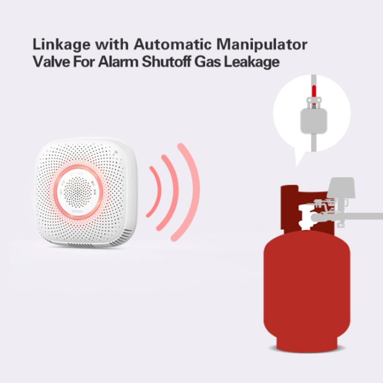 TY-GSA-87 Smart Home WIFI Gas Detector, EU Plug, US Plug, UK Plug – TPU
